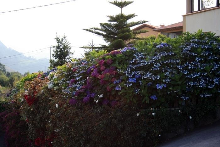 Hotel Foronda Pando  Εξωτερικό φωτογραφία